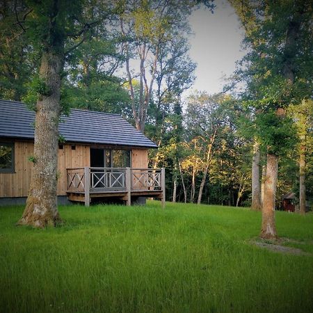 Chalet Au Bois D'Ourthe Villa Somme-Leuze Exterior foto