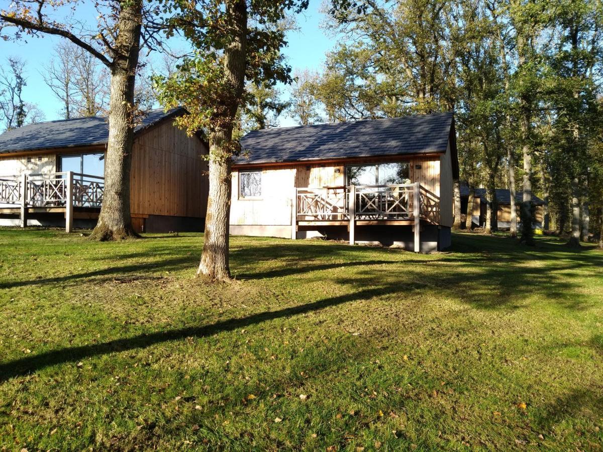 Chalet Au Bois D'Ourthe Villa Somme-Leuze Exterior foto